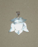 Click for detail