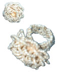 Click for detail