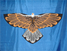 Click for detail