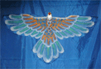 Click for detail