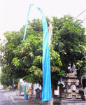 Click for detail