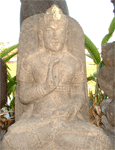 Click for detail